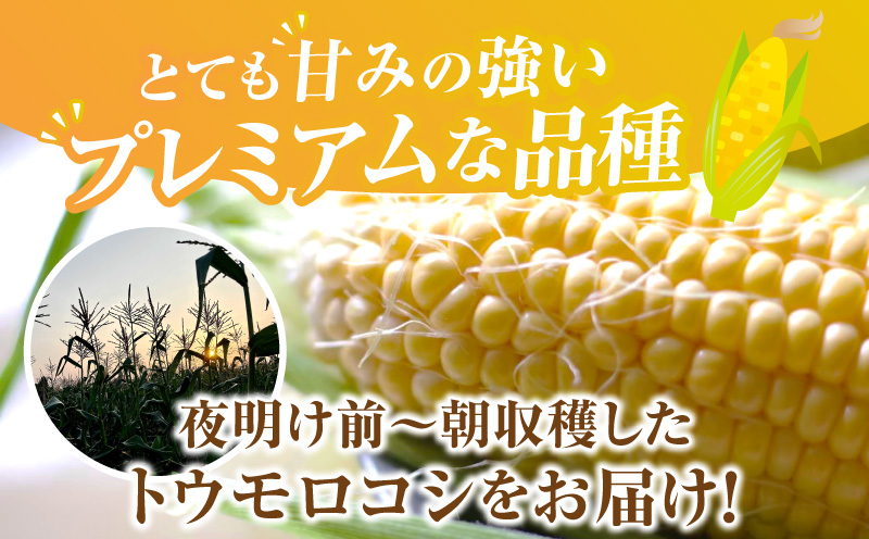 【12月限定価格】朝採れ!プレミアム味来4.5kg以上(2L～L)・S064_c2