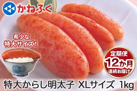 [定期便] 特大からし明太子 1kg XLサイズ『12か月連続お届け』かねふく｜めんたいパーク 辛子明太子 グルメ ギフト おかず 甘楽町 [0124]