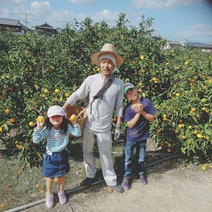 【ご家庭用】有田みかん  3kg （Ｓ～2Ｌサイズミックス）木成り完熟 大ちゃんの畑農園