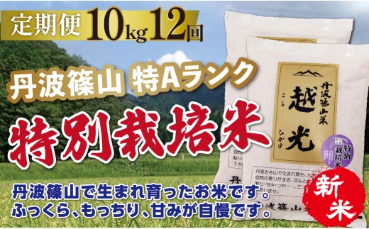 〈定期便 10kg ( 5kg × 2袋 ) 12回 特A 減農薬〉令和8年産 丹波篠山産 特別栽培米 コシヒカリ 越光  | 丹波篠山 お米 おこめ ブランド米 ごはん ご飯 白米 米 コメ こめ 精米 精白米 おいしい米 美味しいお米 兵庫県 お取り寄せ こしひかり コシヒカリ