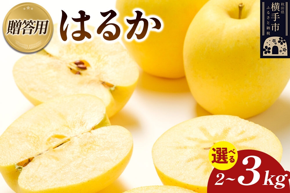 
                  【先行受付】12月上旬より発送 樹上完熟りんご（はるか）贈答用【選べる容量 約2kg／約3kg】 喜三郎農園 [先行予約 秋田県 横手市 林檎 リンゴ りんご 果物 フルーツ 贈答用]
                