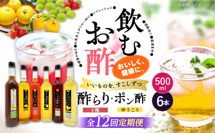 【12回定期便】 【飲む玄米酢】酢らり 大瓶6種セット（5種＋ポン酢）＜川添酢造＞ [CDN143]