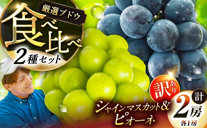 
                  【先行予約：2026年8月中旬より発送】【ご自宅用】農家直送の2品種を食べ比べ！シャインマスカット 1房 ピオーネ 1房（約850g）簡易包装 訳あり マスカット ますかっと シャインマスカット しゃいんますかっと ピオーネ ぴおーね ブドウ 葡萄 果物 くだもの フルーツ 鮮度抜群 大粒 人気マスカット 季節限定 先行予約 訳ありぶどう 農家直送  島根県雲南市/ギアファーム [AIAB017]
                