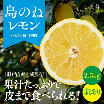 【訳あり】島のねレモン　2.5kg 【K001600】