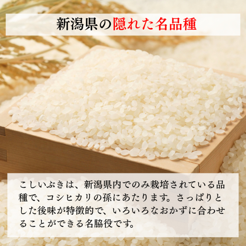 令和8年産 新潟県上越産 こしいぶき 15kg 15キロ（5kg×3）【白