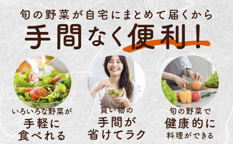 10種類の新鮮野菜 定期便 全4回 詰め合わせ 国産【毎月配送コース】