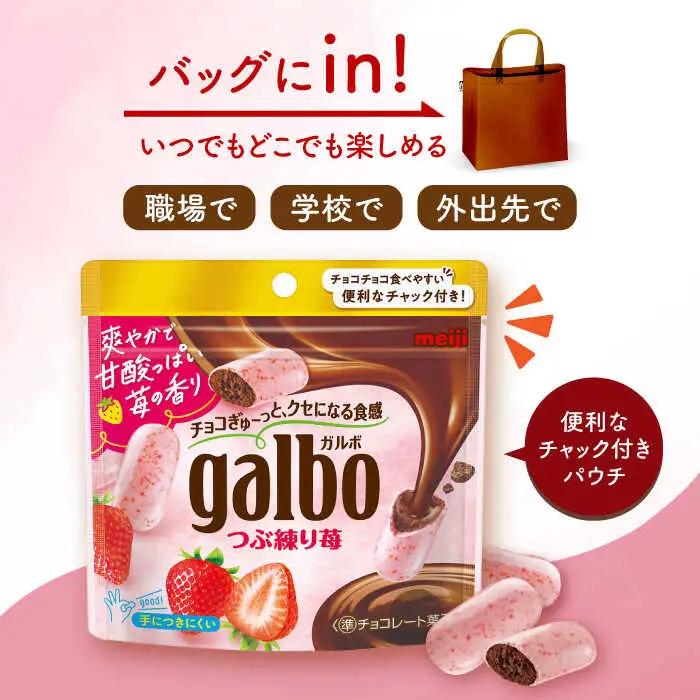 ガルボつぶ練り苺パウチ 48袋[AOAA029] チョコレート お菓子