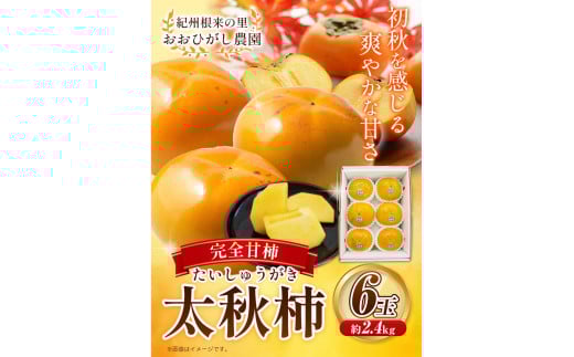  紀州根来の里 完全甘柿 太秋柿 6玉 約2.4kg 化粧箱入 おおひがし農園《10月上旬-11月中旬頃出荷》 和歌山県 岩出市 太秋柿 送料無料 柿 かき カキ 和歌山県産 果物 フルーツ
