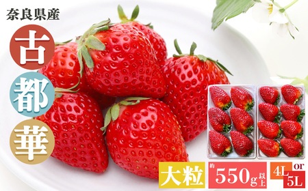 平群 の 古都華 いちご 4L or 5L サイズ（1種×2パック）苺屋小東 | フルーツ いちご 古都華 先行予約 奈良県 平群町