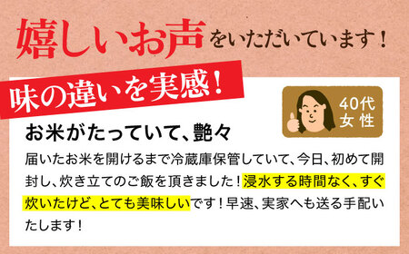 令和7年産 ヒノヒカリ 白米 10kg（5kg×2袋）  [HBL054]白米 白米 白米 白米 白米 白米 白米