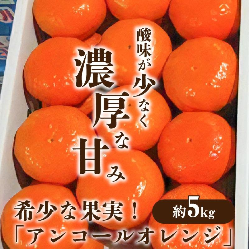 M02-0106_【ふるさと納税】【先行予約】【配送不可地域:北海道・沖縄県・離島】希少な果実!「アンコールオレンジ」 約5kg  秋 旬