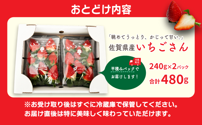 佐賀県産いちご 「いちごさん」 480g (240g×2P) 34an-0001