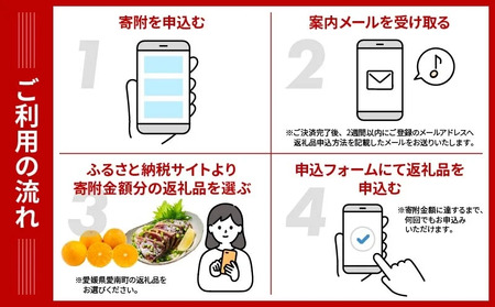 あとから選べる オンラインカタログ 100万円 有効期限なし 後から選べる 定期便 あとからチョイス あとからギフト あとからセレクト ふるさとギフト おすすめ あとで選べる 訳あり みかん かつおの