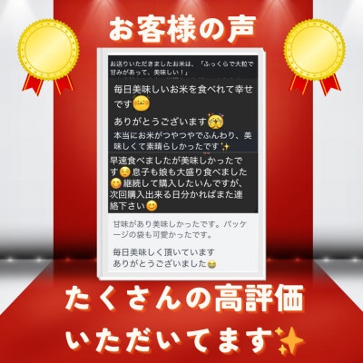 【毎月定期便】京都府与謝野町産 丹後コシヒカリ 精米10kg　もちもちとした食感が特徴のお米全12回