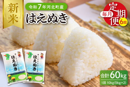 【令和7年産米】※2025年12月下旬開始※ はえぬき60kg（10kg×6ヶ月）定期便 山形県産 【JAさがえ西村山】ka008-010d-r7-12053 先行受付 米 送料無料 ブランド米 白米 精米 こめ ライス ごはん ご飯 おにぎり 弁当 食品 山形県 河北町