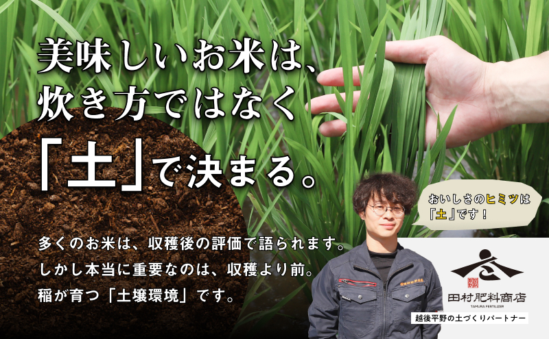 【先行予約】R8年産新潟産コシヒカリ5kg
