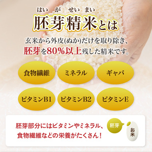 山形県産 無洗米 令和7年産 はえぬき 胚芽精米 10kg(2kg×5袋)【山形県産 BG精米製法】 036-007