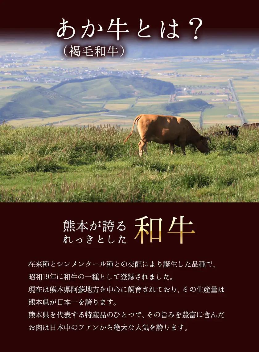 あか牛（褐色和種）ロースステーキ (リブまたはサーロイン) 250g×2 500g 熊本県産 肉 和牛 牛肉 赤牛 あかうし リブロース サーロイン 冷凍 《30日以内に出荷予定(土日祝除く)》