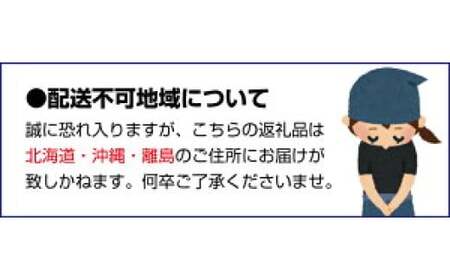 樹上 完熟 はっさく 2.5kg+250g 厳選 光センサー / 八朔 高級 木なり 甘い 和歌山 有田 柑橘 ※4月上旬〜5月上旬に順次発送 ※北海道・沖縄・離島への配送不可 【ikd022-p-2