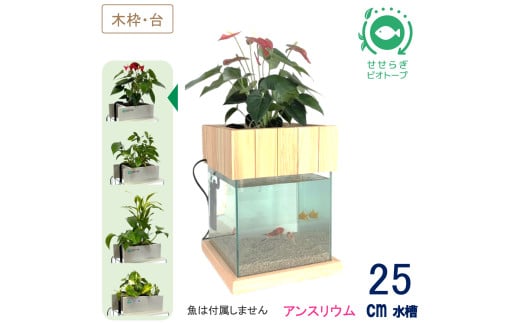 せせらぎビオトープ　25cm型基本+木枠台セット（アンスリウム）