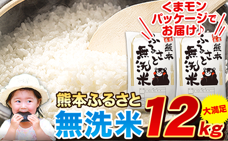 早期先行予約受付中 熊本ふるさと無洗米 12kg 無洗米 訳あり《11月-12月より出荷予定》  熊本県産 無洗米 6kg×2袋---mf_mmsn_af11_24_21000_12kg---