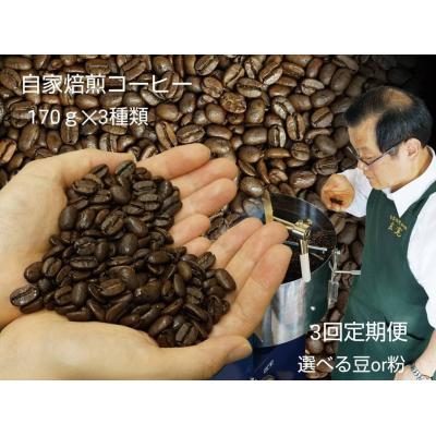 ふるさと納税 出雲市 【定期便3回】米国スペシャリティー認定豆170g×3袋を毎月お届け!【3_6-003】