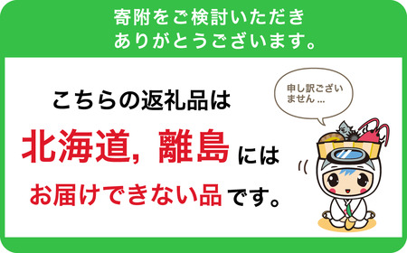 のし対応可能 【いとを菓子　盛栄堂】南房総銘菓　さざえ最中12個入り mi0067-0004 和菓子 お菓子 ｽｲｰﾂ もなか