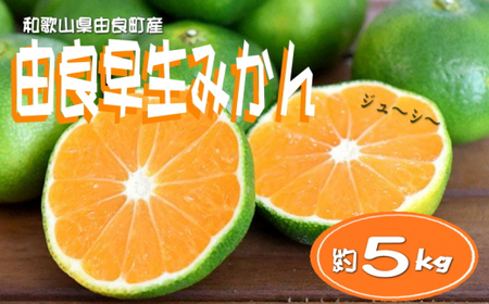≪秀品≫和歌山由良町産 由良早生みかん 約5kg サイズおまかせ【sml106C】