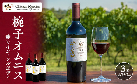 ワイン 椀子オムニス 赤ワイン フルボディ 750ml 3本 お酒 酒 アルコール