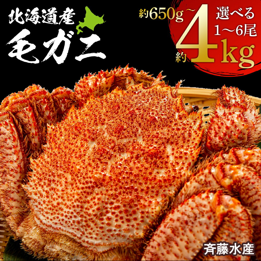 【ふるさと納税】冷凍毛がに 選べる650g～4kg 大サイズ～特特大サイズ 1尾～6尾 【斉藤水産】毛がに 毛ガニ 毛蟹 ケガニ 毛かに 毛カニ 蟹 カニ 白老 ふるさと納税 北海道 年末