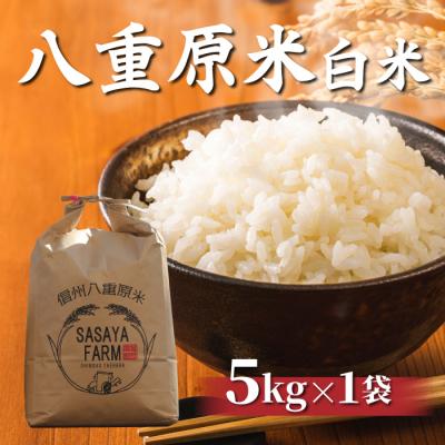 ふるさと納税 東御市 令和8年新米受付!八重原米 白米【5kg】(5kg×1袋)　※2026年10月以降順次発送|笹屋農園