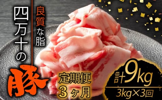 【定期便3回】四万十ポークスライス 計9kg（3kg×3ヶ月連続お届け) 2Nコース | 豚肉 豚バラ肉 小分け 小間切れ スライス 切り落とし 冷凍 真空パック 簡単調理 細切れ 大容量 肉 高知県 須崎市 TM42000
