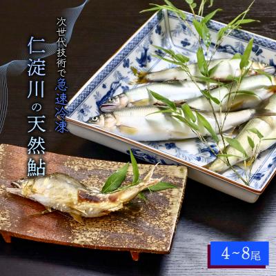ふるさと納税 いの町 仁淀川の天然鮎(4匹〜8匹)★冷凍