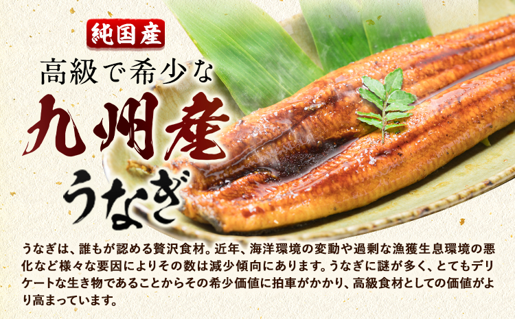 九州産 うなぎきざみ 6個《30日以内に出荷予定(土日祝除く)》ウナギ 鰻 送料無料 刻みうなぎ 刻み鰻 ボイル 九州 熊本 熊本県 御船町---mifune_lcl_1133_6---