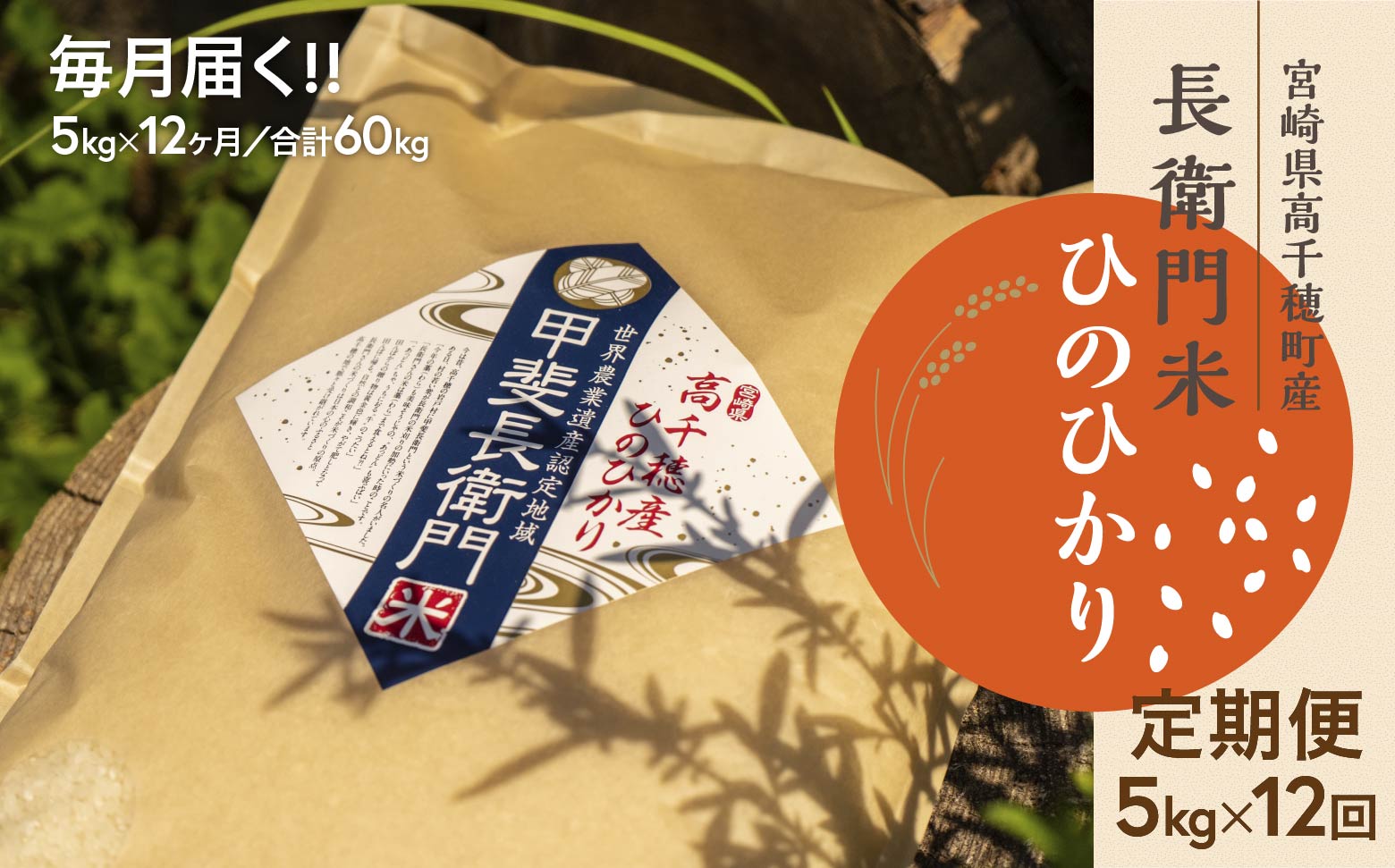 T-21【12ヶ月定期便】13代目甲斐長衛門が選び抜いた高千穂産ひのひかり　長衛門米5kg×12回