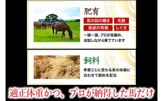 〈令和7年12月出荷〉肥後の桜馬刺し 上赤身 300g 馬肉 馬 国産 国内肥育 希少 肉刺し 真空パック 醤油付き 本場 老舗専門店 ギフト 贈答用 阿蘇牧場 熊本 阿蘇 南小国町 送料無料 高レビュー 《 出荷月指定 》