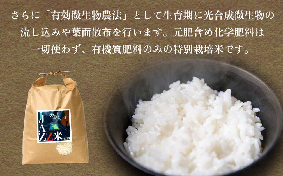 原農園 JAZZ米 (白米) 白米 ４kg ６回定期便 JAZZ 有機栽培 特別