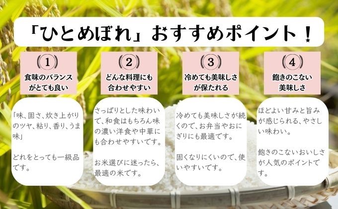 ★精米したてが1番！★令和5年産 盛岡市産 ひとめぼれ 5kg×2『定期便3ヶ月』 ◆1等米のみを使用したお米マイスター監修の米◆