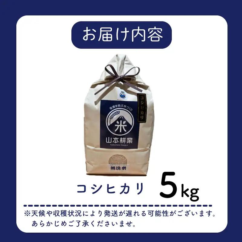 コシヒカリ 5kg 無洗米 牧之原市 静岡県 山本耕業