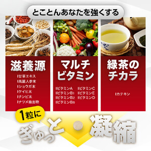 BIOVITAL（ビオバイタル） 免疫ケア サプリメント シールド乳酸菌 酢酸菌GK1 機能性表示食品 6袋（6ヶ月分）