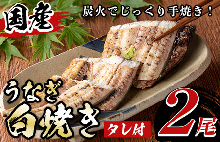 y134 国産！うなぎ白焼き(2尾・タレ付き)  国産 九州産 鰻 ウナギ 有頭 魚 魚介類 かばやき 蒲焼 蒲焼き しろやき 白焼 おかず 特産品 お土産 ギフト プレゼント 冷蔵 送料無料【尾方屋