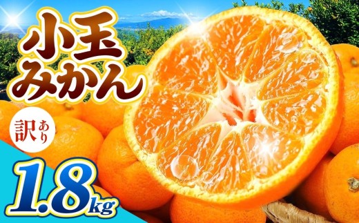 訳あり 小玉みかん 1.8kg | 果物 みかん くだもの みかん フルーツ みかん 柑橘 みかん 柑橘類 みかん ミカン 家庭用 みかん 熊本県 みかん 玉名市 みかん