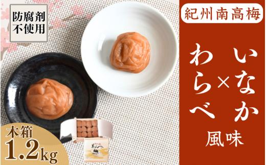 紀州産南高梅 わらべ風味といなか風味のセット 計1.2kg (600g×2種) 木箱/ 梅干し 梅干 梅 和歌山 田辺 紀州南高梅 南高梅 かつお昆布だし お試し 出汁 磯塩 防腐剤不使用 ご飯のお供 スポーツ 運動 塩分補給【wrb009】