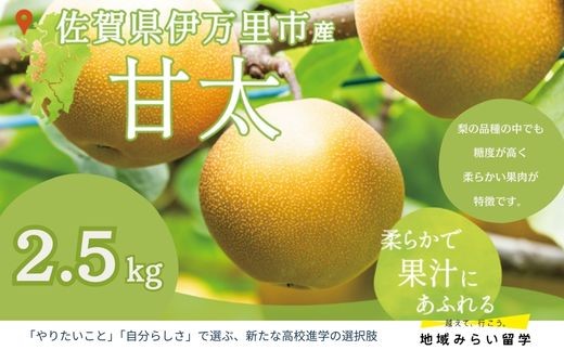 
                  堀田農園 梨「甘太」2.5kg（9月中旬から出荷）
                