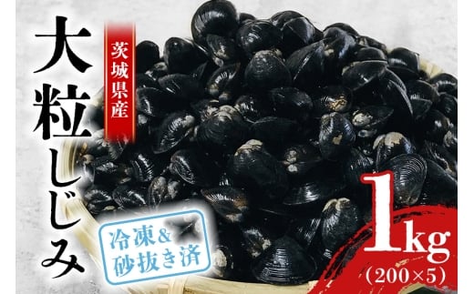 涸沼産 冷凍しじみ 大粒 1kg（200g×5p）【石岡市・水戸市共通返礼品】 しじみ シジミ 蜆 国産 小分け 砂抜き不要 冷凍 冷凍保存 海鮮 貝 魚貝類 魚介類 魚貝 魚介 味噌汁 みそ汁 酒蒸し おつまみ しじみ汁 C10-001