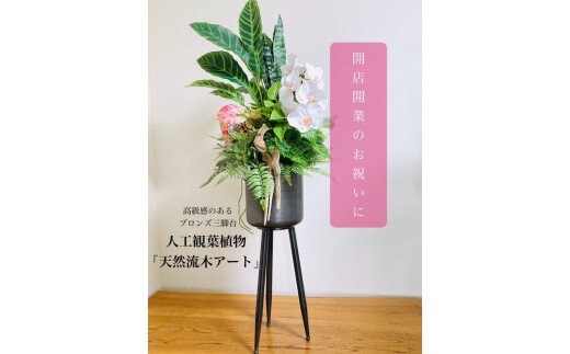 
                  人工観葉植物 天然流木アート『カラティア』
                