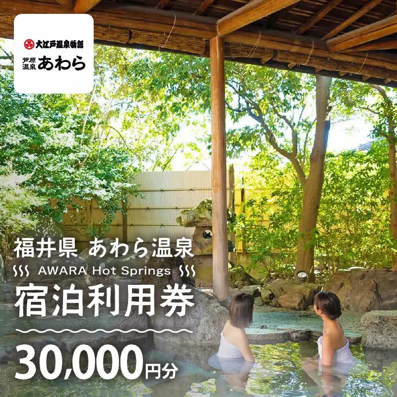 あわら温泉 宿泊利用券 30,000円分 ／ 宿泊券 利用券 旅館 ホテル チケット ペア 観光 旅行 源泉 大浴場 露天風呂 [aw013-j012]
