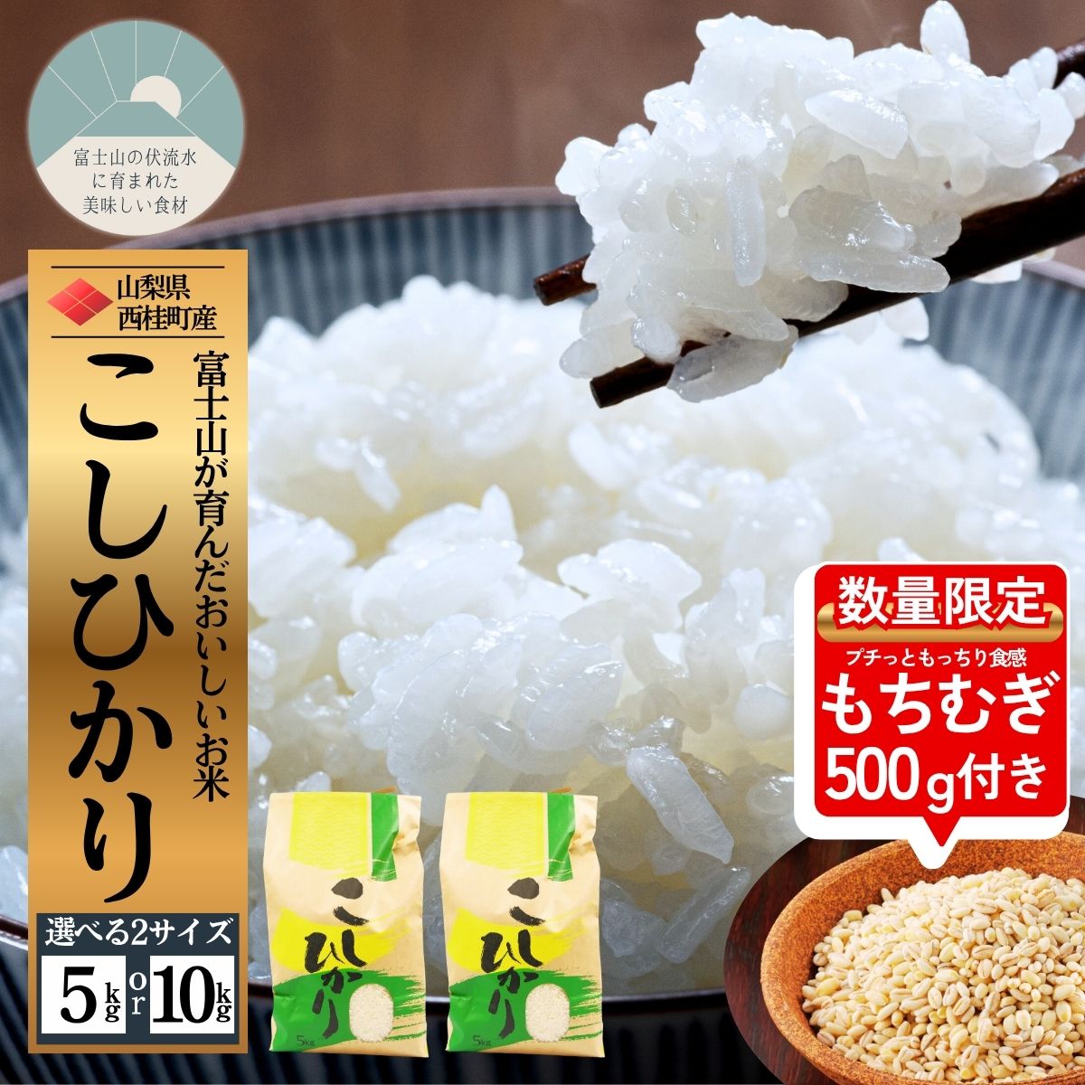 【ふるさと納税】米 コシヒカリ 10キロ返礼品に今だけ数量限定でもち麦500g付き！ 選べる容量 / 国産 こしひかり 5キロ 10キロ 米 お米 保存袋 生活必需品 ギフト 贈り物 お歳暮 ふるさと納税 送料無料 [n0663_nsk]