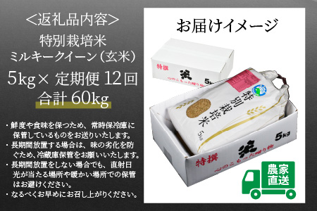 【令和5年産】《定期便12回》 特別栽培米 ミルキークイーン 玄米  5kg （計60kg） 農薬不使用 化学肥料不使用 ／ 高品質 鮮度抜群 福井県産 ブランド米 あわら産 ブランド米