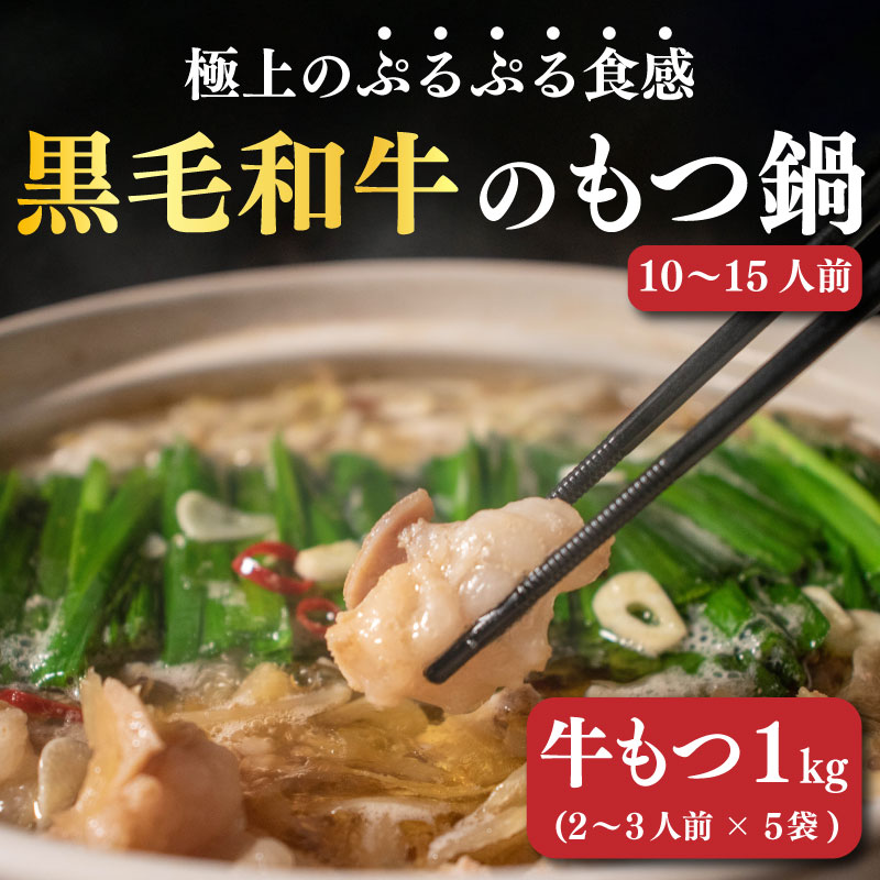 【ふるさと納税】 もつ鍋 ホルモン 計1kg！ 国産 黒毛和牛 もつ鍋セット ( 200g × 5パック) ホルモン 国産牛 和牛 もつ鍋 モツナベ 鍋セット 小分け 冷凍 コラーゲン コラーゲン鍋 肉 牛肉 和牛 国産 10人前 ~ 15人前 人気 おすすめ 愛媛県 松山市 送料無料